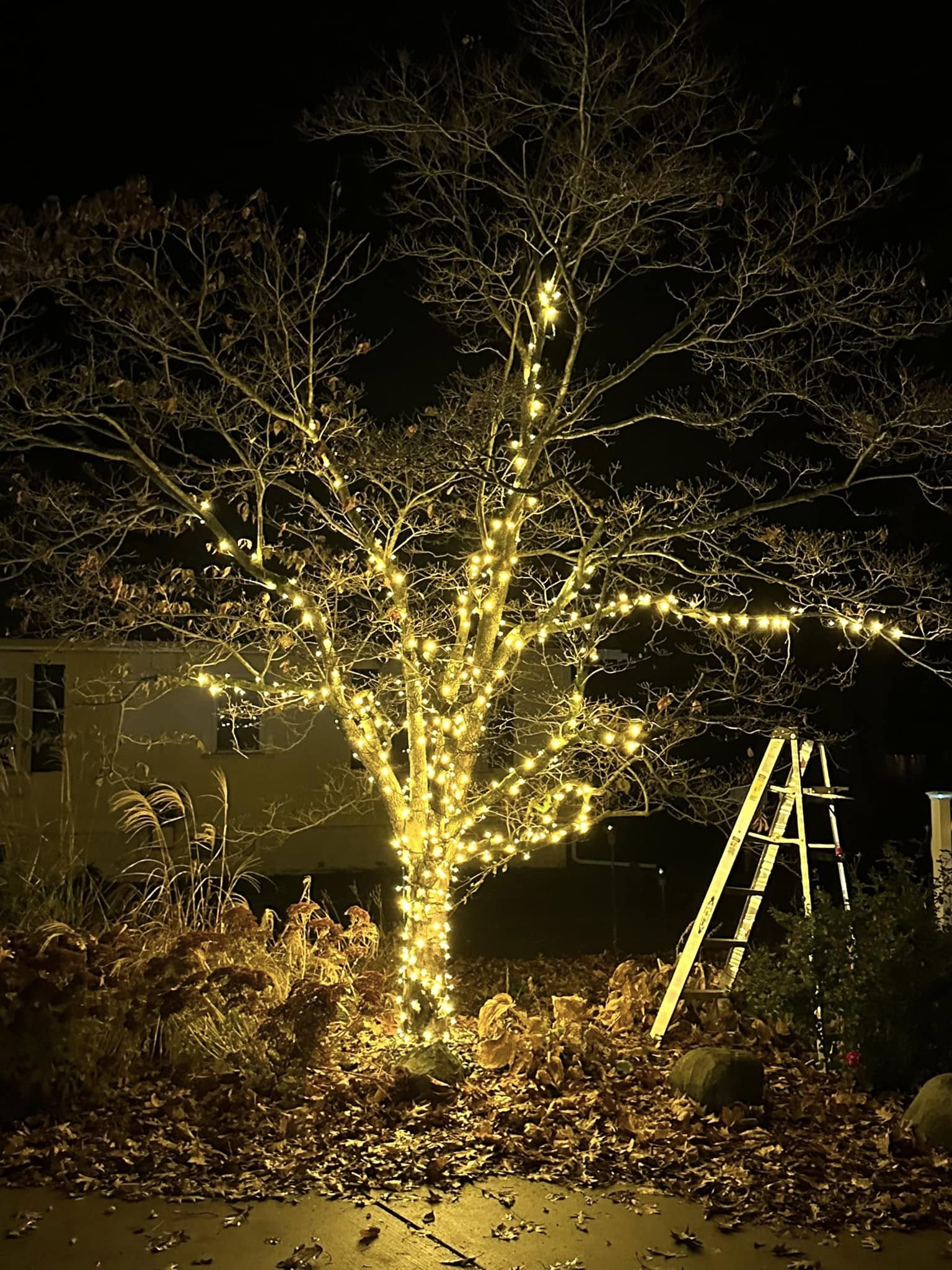 Outdoor lighting project in Lansing MI