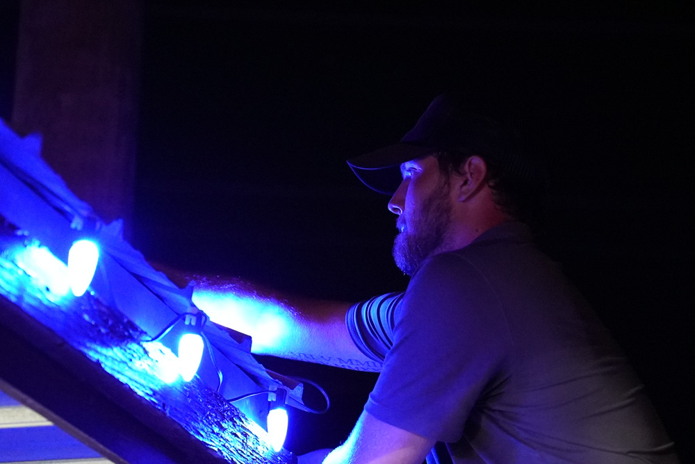 Outdoor lighting project in Lansing MI